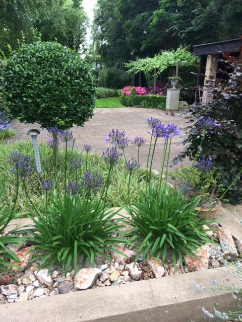 Agapanthus Bed And Breakfast Hoogkarspel Exterior foto